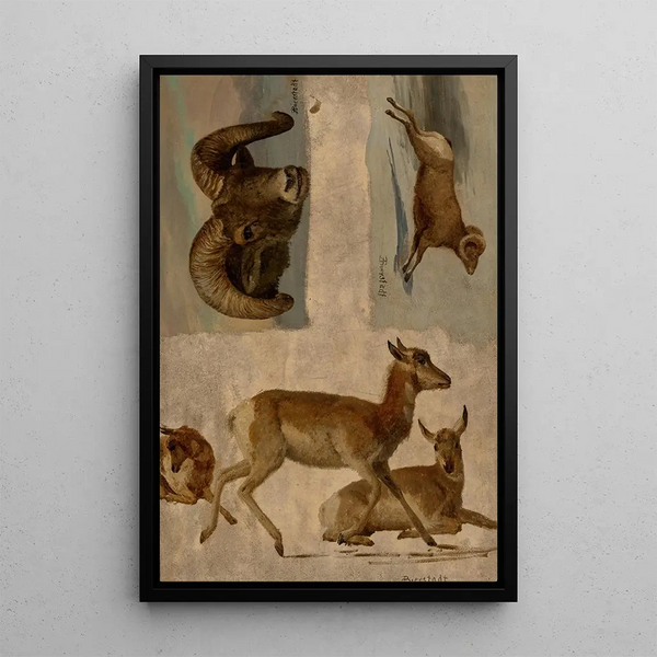 Study of mouflons and antelopes - Albert Bierstadt — framed artwork on a wall