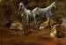Study of Wild Horses - Albert Bierstadt — artwork view