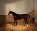 Horse Race - Albert Clark — artwork view
