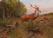 Elk in Alert - Albert Ernst Mühlig — artwork view