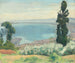 Bay of Algiers view of El-Biar - Albert Marquet — artwork view