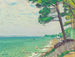 Pins à Pyla - Albert Marquet — artwork view