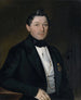 Portrait of a gentleman in a black frock coat with medals - Albert Theer — artwork view