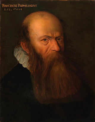 Portrait of Franciscus Raphelengius - Albert Thys — artwork view