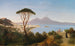 Vue de Posillipo sur la vaste baie de Naples avec le Vésuve fumant - Albert Zimmermann — artwork view