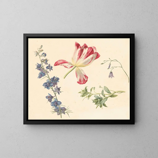 Flower Studies - Albertus Jonas Brandt — framed artwork on a wall