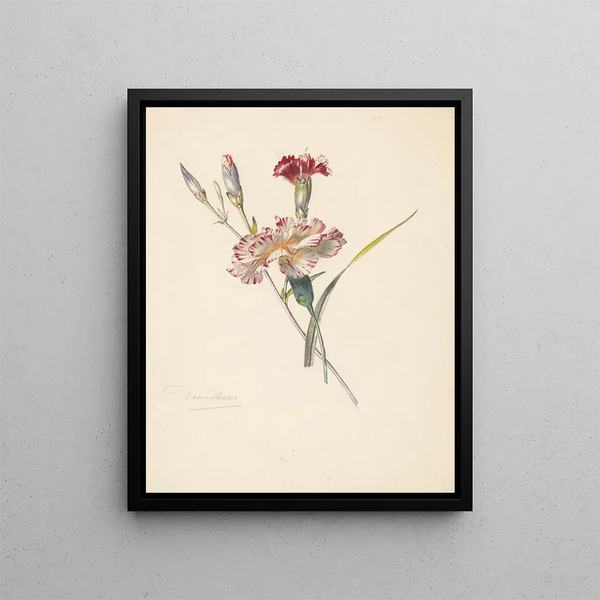 Study Sheet with eyelets - Albertus Steenbergen — framed artwork on a wall