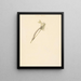 Study Sheet on the Caterpillar Amphidasis Betularia - Albertus Steenbergen — framed artwork on a wall