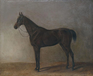 Gray Horse - Albrecht Adam — artwork view