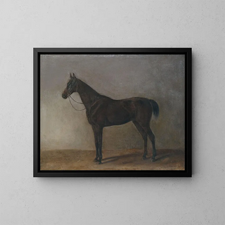 Gray Horse - Albrecht Adam — framed artwork on a wall