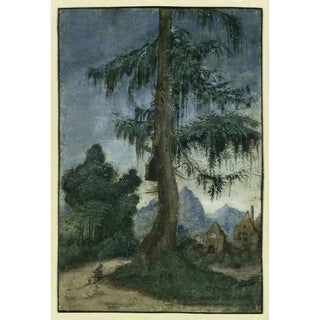 Landscape Painting with Spruce - Albrecht Altdorfer — artwork view
