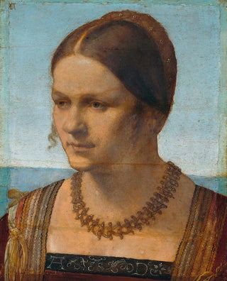 Portrait of a Young Venetian Woman (Case Conflict) - Albrecht Dürer — artwork view