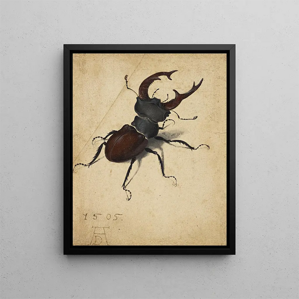 Lucane cerf-volant - Albrecht Dürer — framed artwork on a wall