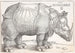 The Rhinoceros - Albrecht Dürer — artwork view