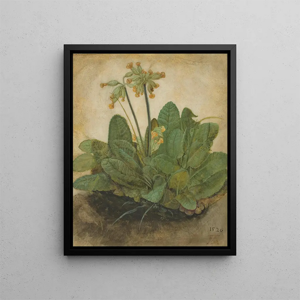 Touffe de primevères - Albrecht Dürer — framed artwork on a wall