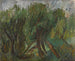 Saules de l'Altai - Aleksandr Drevin — artwork view