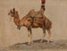 Study of a Camel - Aleksei Kivshenko — artwork view