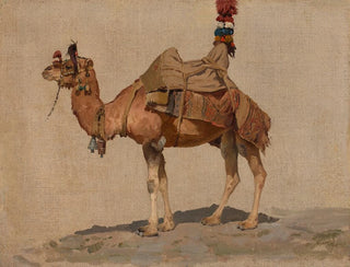 Study of a Camel - Aleksei Kivshenko — artwork view