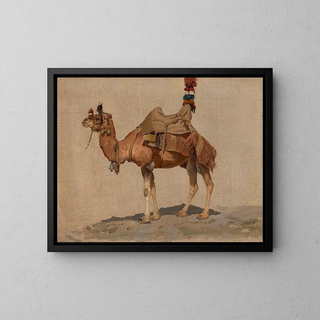 Study of a Camel - Aleksei Kivshenko — framed artwork on a wall