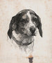 A dog's head - Alexander Blom — artwork view