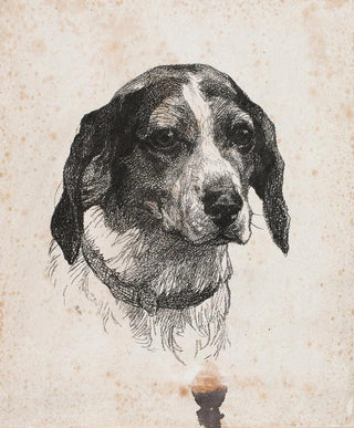 A dog's head - Alexander Blom — artwork view
