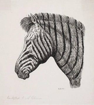 Head of a Zebra - Alexander Blom — artwork view