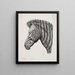 Head of a Zebra - Alexander Blom — framed artwork on a wall