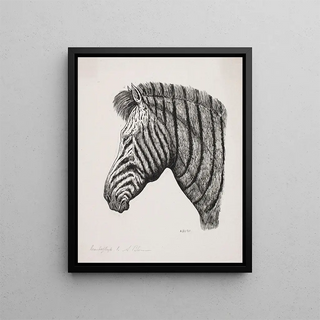 Head of a Zebra - Alexander Blom — framed artwork on a wall