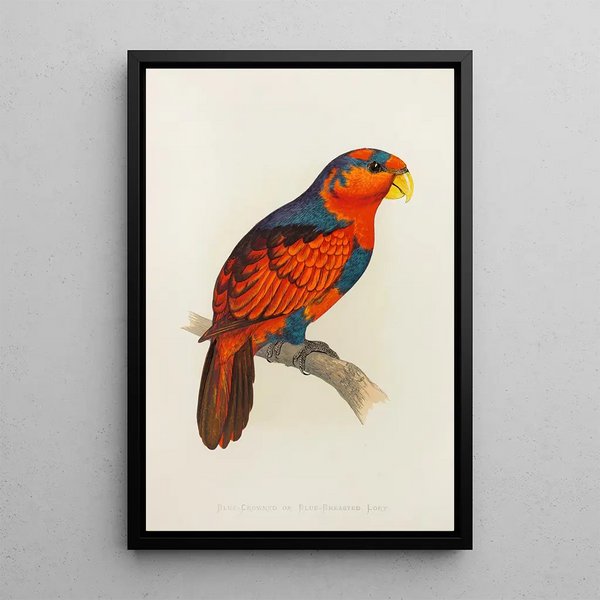 Lori with blue crown or blue chest - Alexander Francis Lydon — framed artwork on a wall