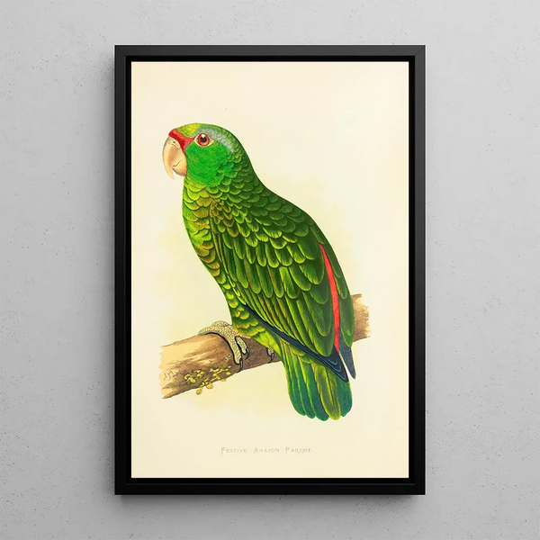 Festive Amazon Parrot Painting - Alexander Francis Lydon — framed artwork on a wall