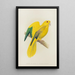 Parrot doré ou reine de Bavière - Alexander Francis Lydon — framed artwork on a wall