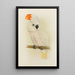 Large Salmon-Crested Cockatoo Painting - Alexander Francis Lydon — framed artwork on a wall