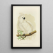 Reproduction of the painting Large White-crested Cockatoo Painting - Alexander Francis Lydon