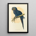 Ara hyacinth - Alexander Francis Lydon — framed artwork on a wall