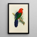 Reproduction of the painting Royal Parrot or King Parakeet - Alexander Francis Lydon