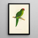 Reproduction of the painting New Zealand Parakeet - Alexander Francis Lydon