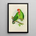 inseparable with pink face - Alexander Francis Lydon — framed artwork on a wall