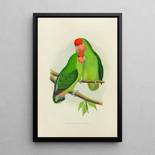 inseparable with pink face - Alexander Francis Lydon — framed artwork on a wall