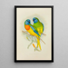 Reproduction of the painting Stunning Parakeet Painting - Alexander Francis Lydon