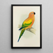 Reproduction of the painting Perruche soleil ou conure jaune - Alexander Francis Lydon