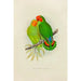 Reproduction of the painting West Africa inseparable painting - Alexander Francis Lydon