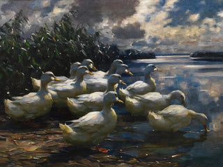 11 Morning Sun Ducks - Alexander Koester — artwork view