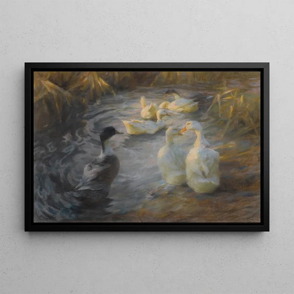 Canards parmi les roseaux dans un étang - Alexander Koester — framed artwork on a wall