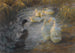 Canards parmi les roseaux dans un étang - Alexander Koester — artwork view