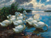 Canards au bord d'un lac - Alexander Koester — artwork view