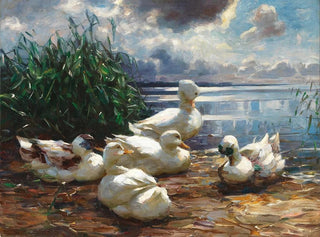 Ducks on Lake Chiemsee in a Rising Storm - Alexander Koester — artwork view