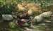 Ducks on a Pond - Alexander Koester — artwork view