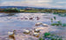 Ducks by the lake - Alexander Koester — artwork view