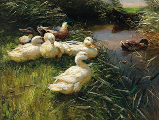Canards au bord du lac avec un bateau - Alexander Koester — artwork view