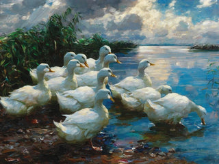 Canards au bord d'un lac - Alexander Koester — artwork view